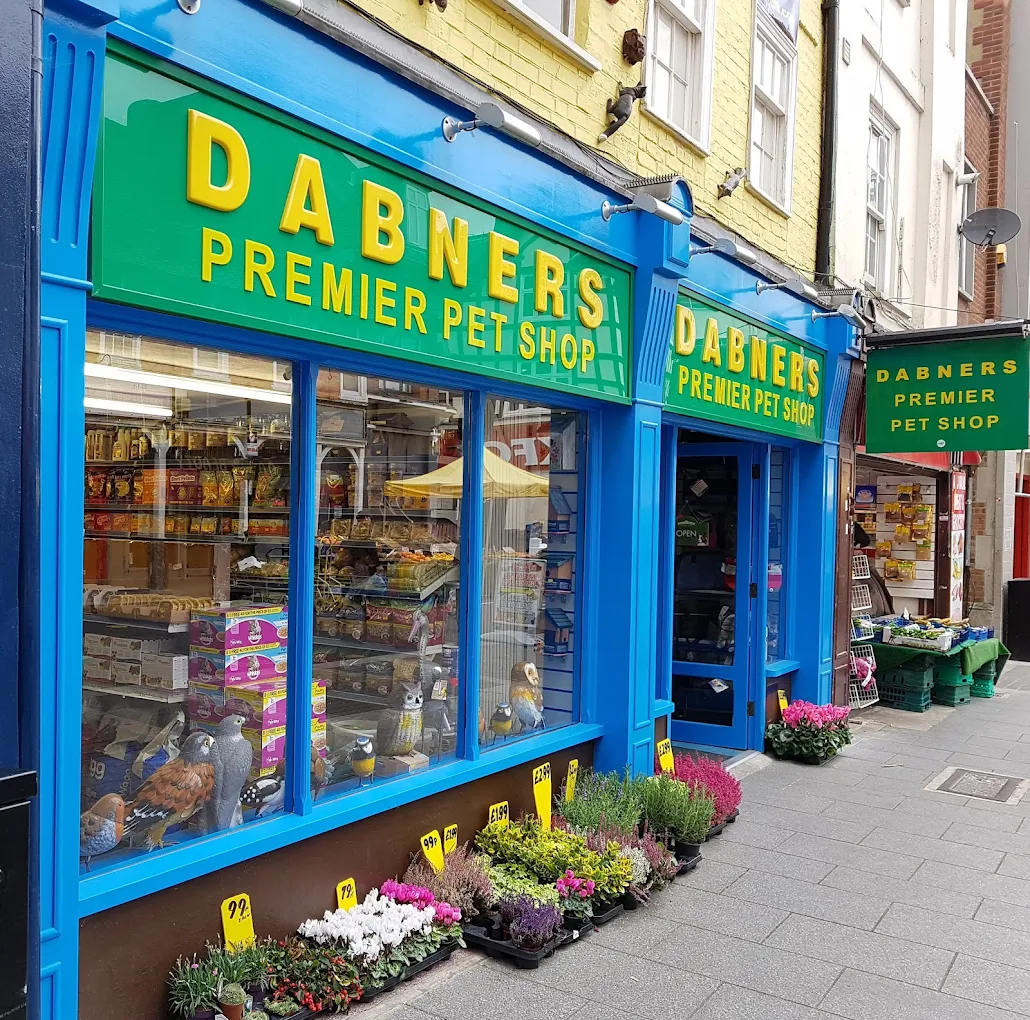 Inside Dabners Pet Shop on Surrey Street